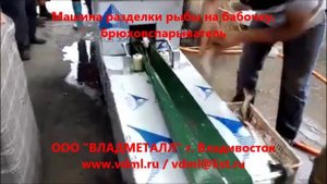 Машина разделки рыбы на бабочку, оборудование вспарывания брюшной полости рыбы, брюховспарыватель