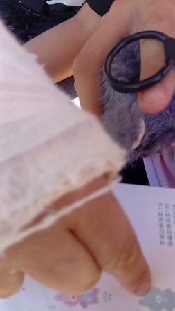 открываем лабуду и к нам попадается редкий лабу