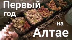 Прожил год в ДЕРЕВНЕ на Алтае | Вот что успел | 2022