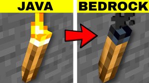 20 СКРЫТЫХ ОТЛИЧИЙ МАЙНКРАФТ БЕДРОК ОТ ДЖАВА!