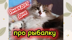 Анекдот дня про рыбалку.