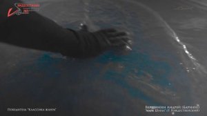 ВИДЕОСТИХИЯ-2021. Диплом 3 ст. в номинации. Классика жанра