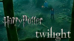 Что, если скрестить «Гарри Поттера» и «Сумерки»