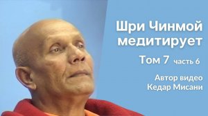 "Шри Чинмой медитирует", том 7, часть 6. Автор видео Кедар Мисани