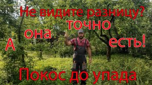 Трава прёт. Покос до упада.