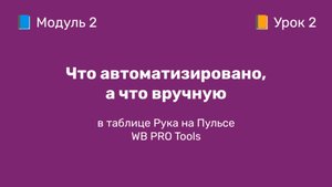 2-2 Что автоматизировано, что вручную в Руке на пульсе WB PRO Tools | Курс по оцифровке кабинета WB