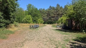 woodprokat. щепкинский лес. Ростов-на-Дону.  наша прогулка. 28.07.2025. Езда на велосипедах.