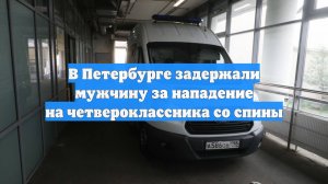 В Петербурге задержали мужчину за нападение на четвероклассника со спины