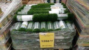 Обзор магазина Сфетофор