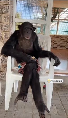 Когда появилась свободная минутка😆
