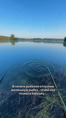 ))))))