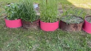 ОБВИНИЛА МУЖА! ПЕРЕМЫВАЮ КОСТИ. ДАВНО СОБИРАЛАСЬ!