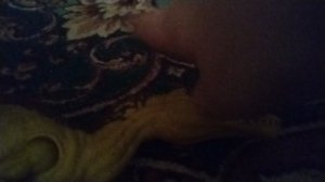 ЗУХАМИМУС ПРОТИВ ТАРБОЗАВРА #7