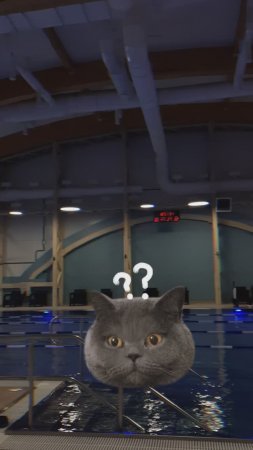 Что не так с бассейном?  #блог #интересно #плавать