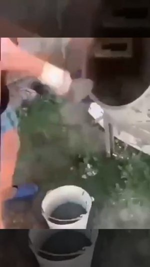 Пол в одиночку 👍