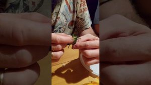 господи😶🕍🍺🦗