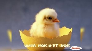 Сказка Мультфильм Цыплёнок и утёнок | Владимир Сутеев| народные | детские | рассказ | мультфильм |