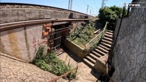 Сочи Лазаревское сегодня 29 июля 2025. Пляжи Дельфин, Фламинго. Обстановка, погода сейчас в Сочи