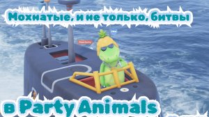 Пушистый камбэк: снова машем лапками | Party Animals