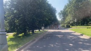 Погружение в Летний Парк, Где Солнце Создаёт Узоры на Тропах