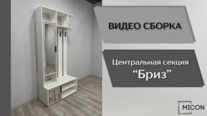 Micon Видео сборка. Прихожая Бриз. Центральная секция.