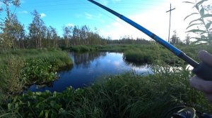 Щука есть тут.