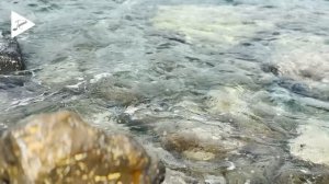 DIARO - Without You.mp4