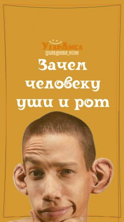 Зачем человеку уши и рот