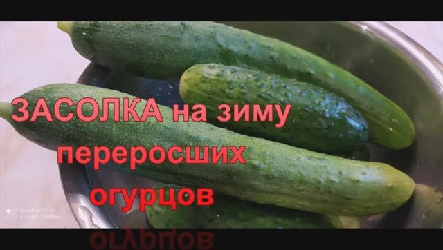 Два способа засолки переросших огурцов на зиму! смотреть онлайн