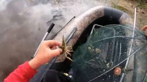Я В ШОКЕ ТАКИХ Я НЕ ТО ЧТО НЕ ЛОВИЛ И НЕ ВИДЕЛ НИКОГДА ВОТ ЭТО ГИГАНТЫ ПРОВЕРКА РАКОЛОВОК