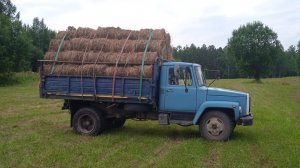 Сенокос 2025 . Продолжение . Дождь помешал рулонить .  Вывозка мокрого сена.