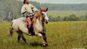 ДЕРЕВЕНСКИЕ НОЧИ