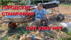 656 Переехали из города в станицу на юге. Всё в кучу. Сил уже нет.