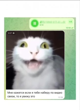 Когда рассказываешь парню очередной план на ближайшее время:
