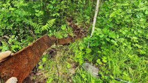 Трава стеной,жара а мы металл копаем!