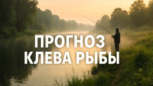 Прогноз клёва рыбы на Август 2025! Лунный календарь рыбака 2025!