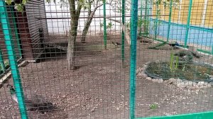 Дмитров Борисоглебский монастырь.mp4