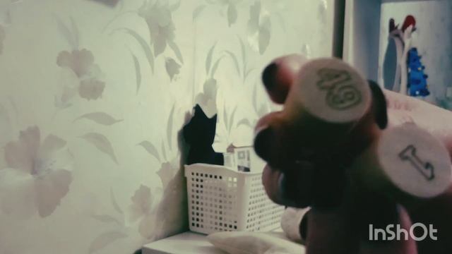 Покупки с валбериз. Все довольны. #кот #like #youtube #покупки