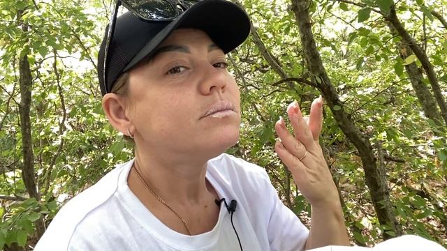 Водный, Халва жёлтая и белая, песчанка. смотреть онлайн