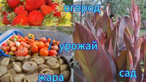 Переезд из Сибири на юг. Купили дом на юге. Наслаждаемся южной жизнью 💖