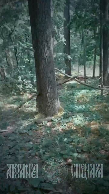Наши снова обрезают вражеский дрон