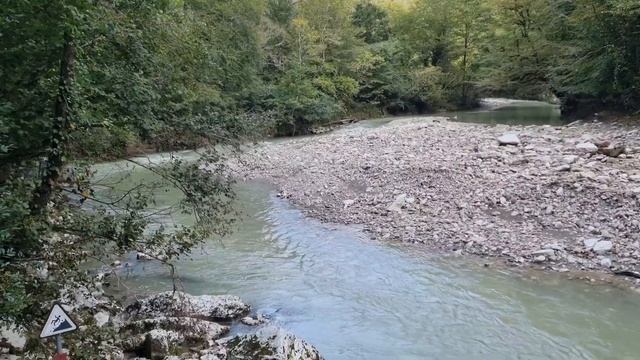 Тисо-Самшитовая роща. Сочи Хоста 15 октября 24 года смотреть онлайн