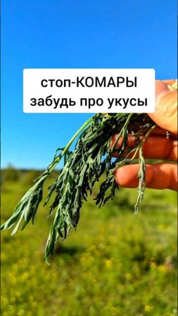 Комары перестанут кусать, надёжное средство ✅