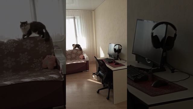 квартира