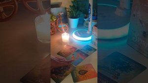 ВОТ ЭТО ПОВОРОТ!😍𑰽еделю-две. Готовьтесь менять планы резко. Послание духов животных на эту неделю