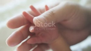 Главной леди Жизни