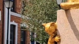 СКВЕР СИБИРСКИХ КОШЕК...
г.Тюмень,  самое замечательное и трогательное место СИБИРИ..