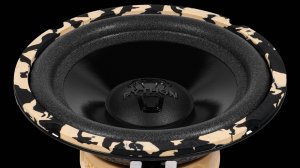 DL Audio Python 165 Comp. Обзор, установка в Honda Civic 5D, прослушка
