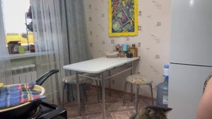 РАЗГОВОРНЫЙ КУКИНГ+МУКБАНГ ГОТОВЛЮ ВКУСНО МИНТАЙ