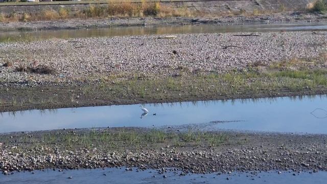 Сочи Адлер Мзымта смотреть онлайн